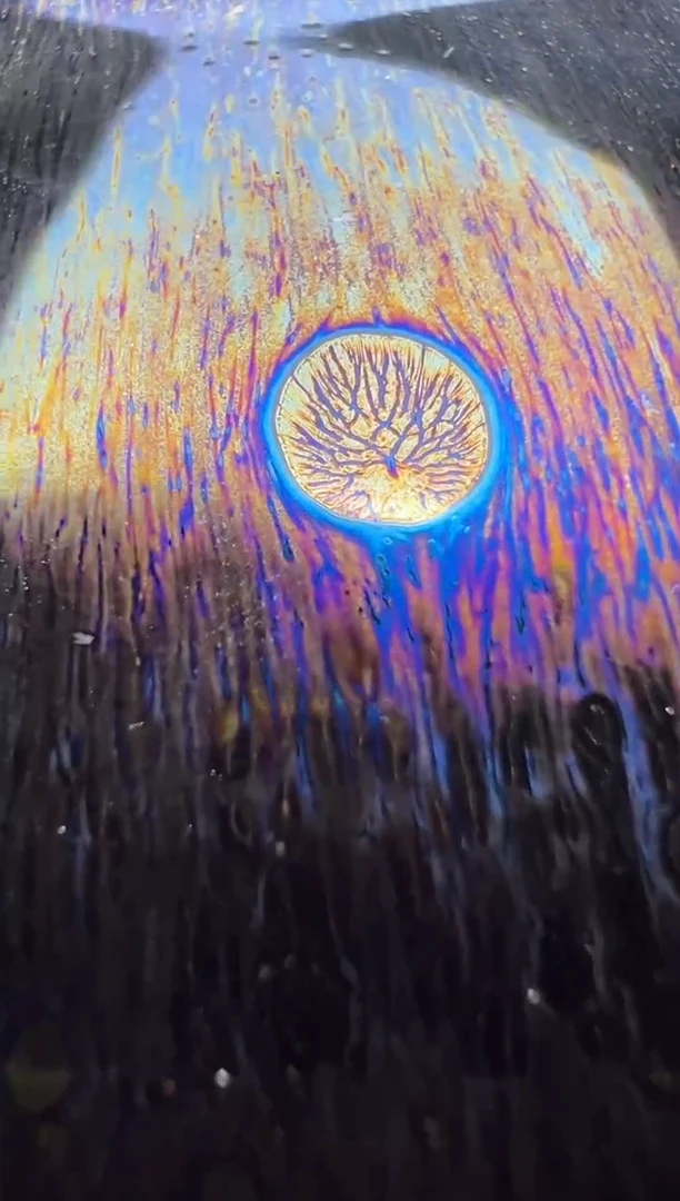 茶盏徐祖亮高端收藏29