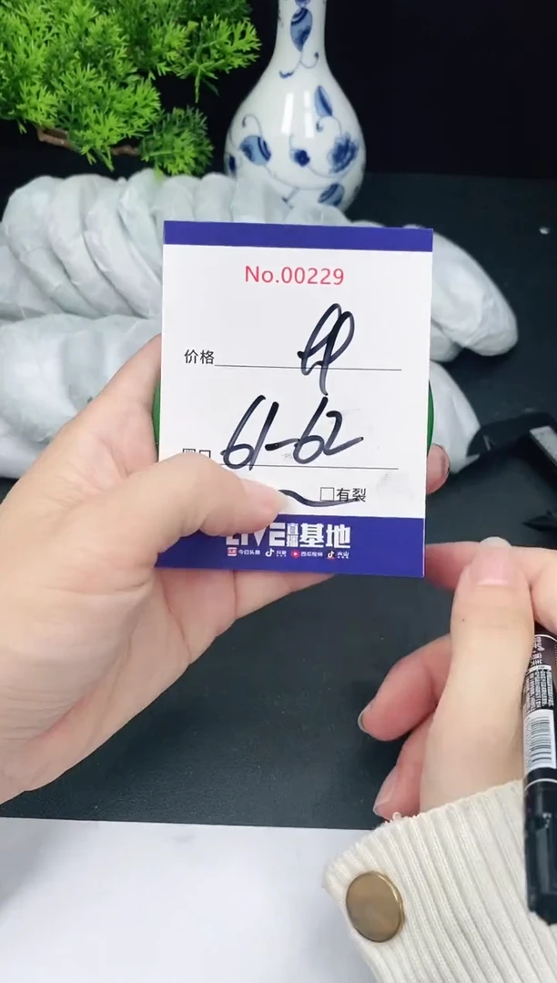 未镶嵌手镯翡翠229