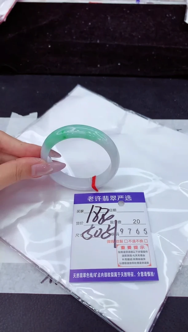 未镶嵌手镯翡翠1