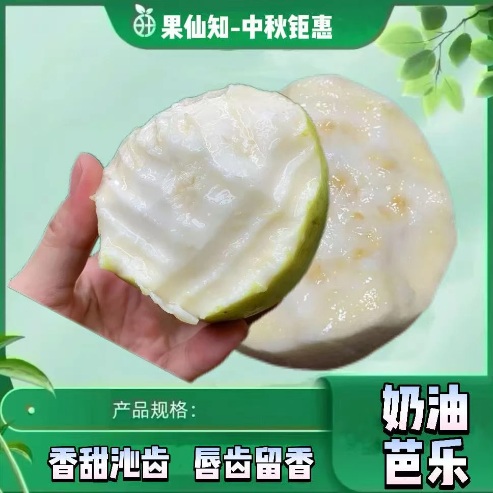 【冰激凌奶油芭乐-A+果-带箱3斤左右】