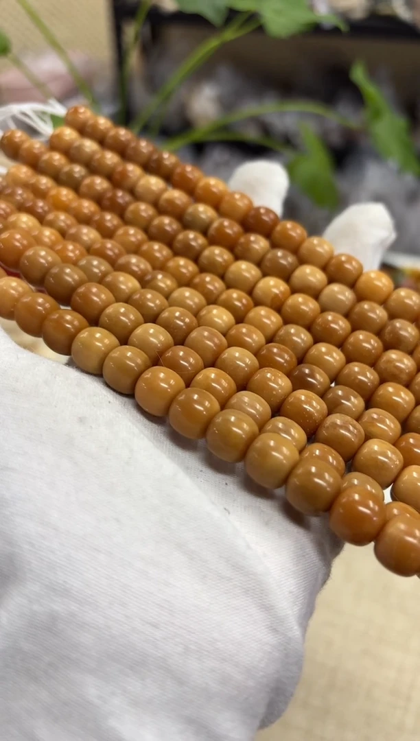 菩提根/象牙果手串10.8三高麻子（716）