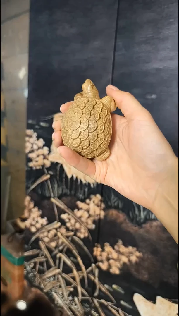 金丝楠      金钱龟