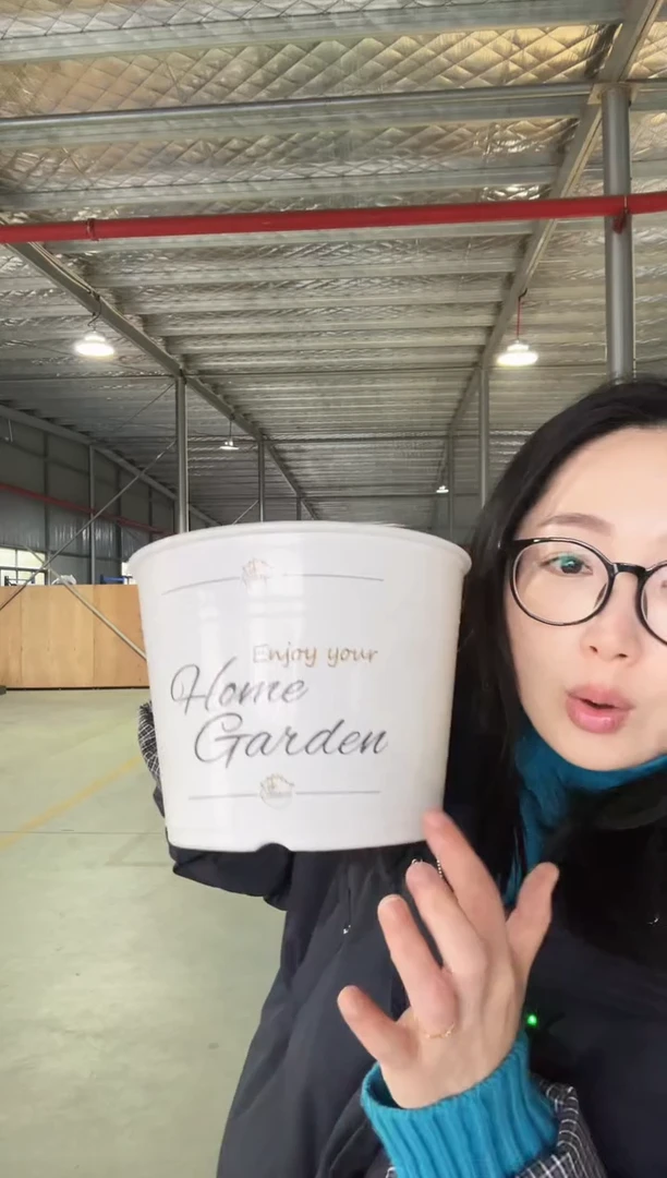 【闪购商品】塑料8寸罗斯玛丽白色印花4只装