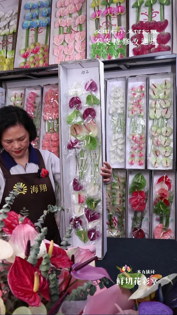 102混色彩掌20支迷你掌，福利微瑕无售后