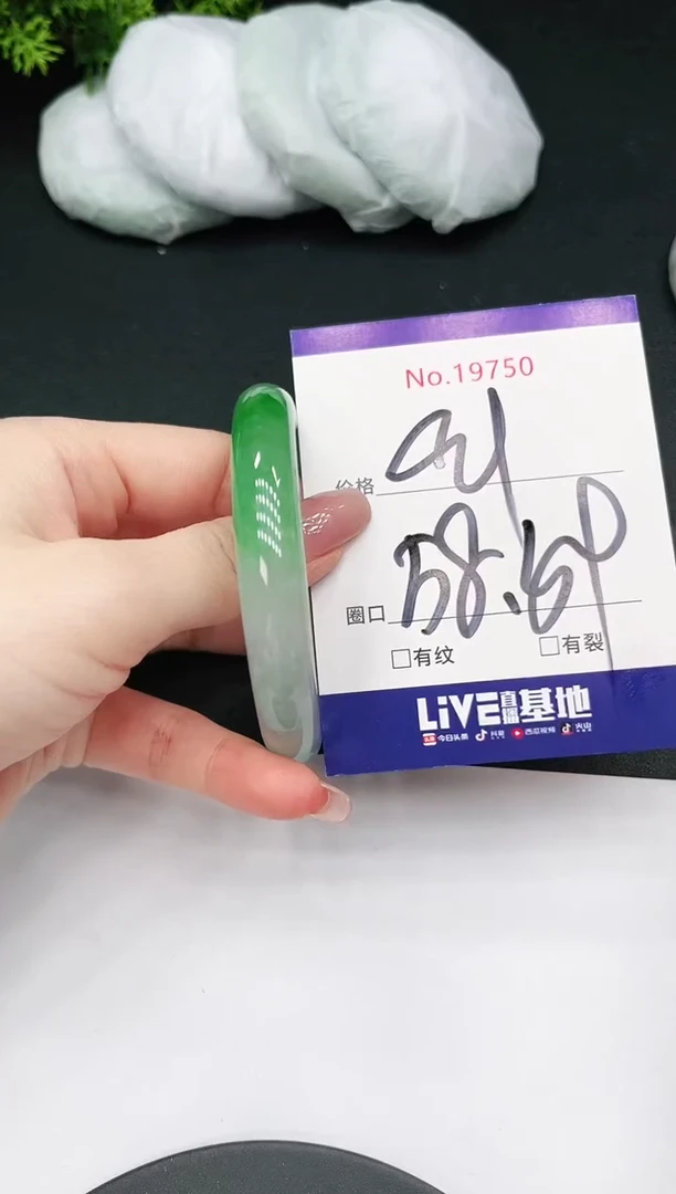 未镶嵌手镯翡翠19750