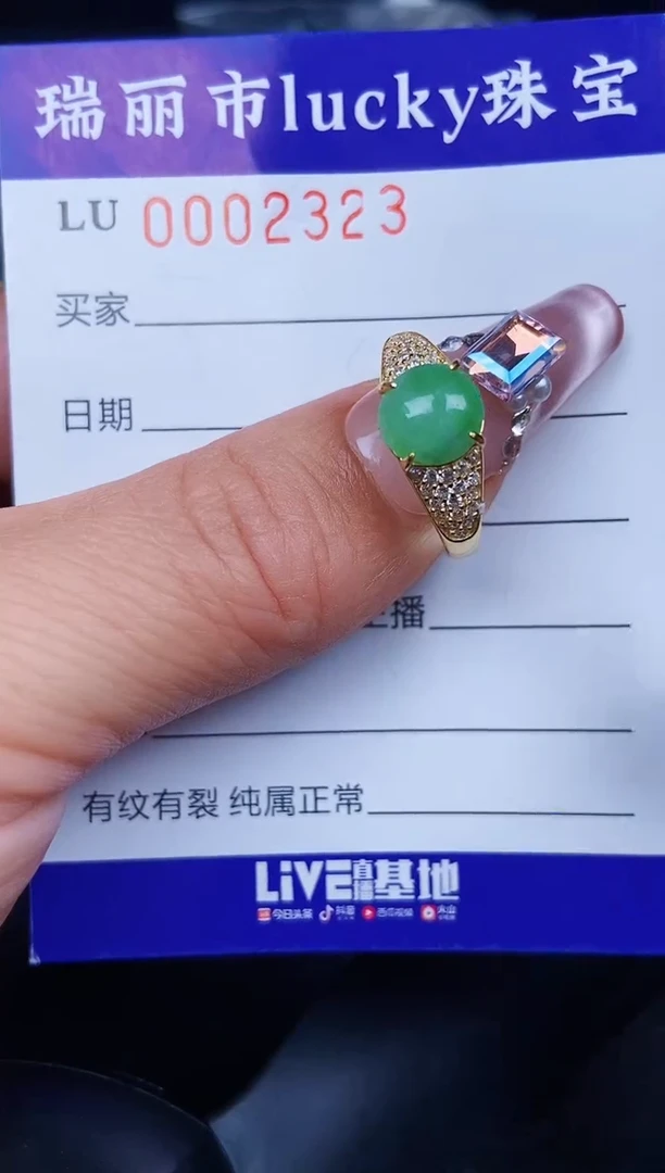 翡翠银S925镶嵌颈饰2323