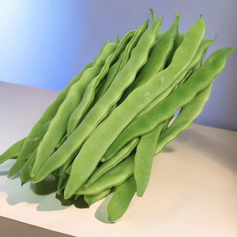 宽扁架豆种子露天家庭豆角青芸豆种籽纤维少春秋季架豆蔬菜种孑