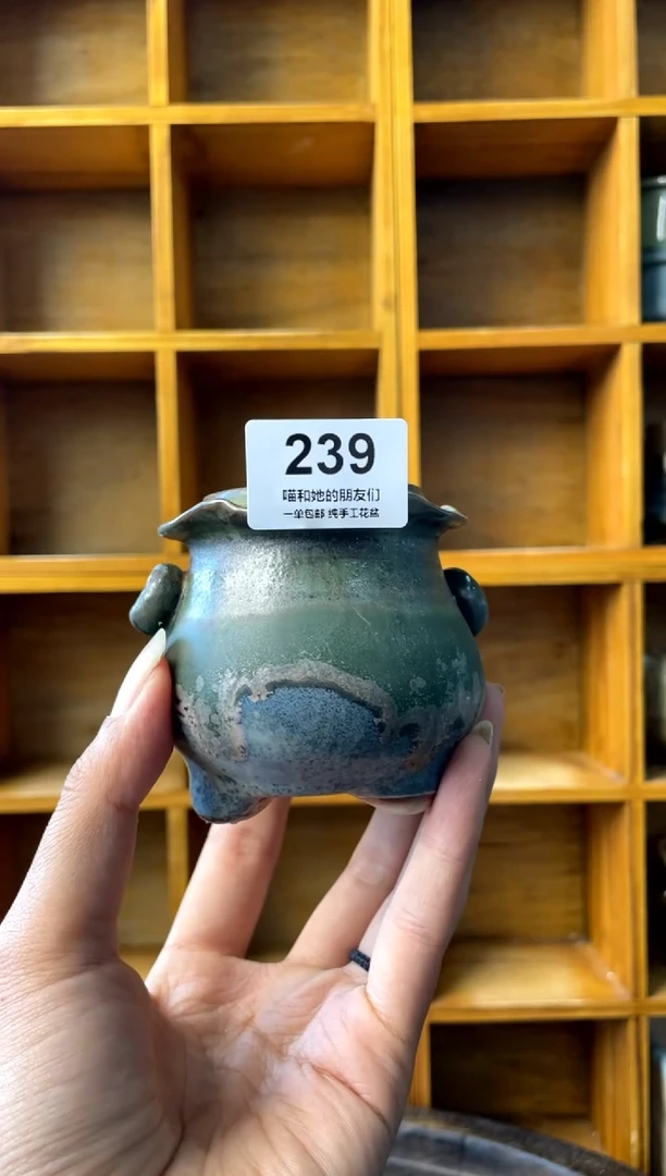 239【多肉花盆多肉盆】