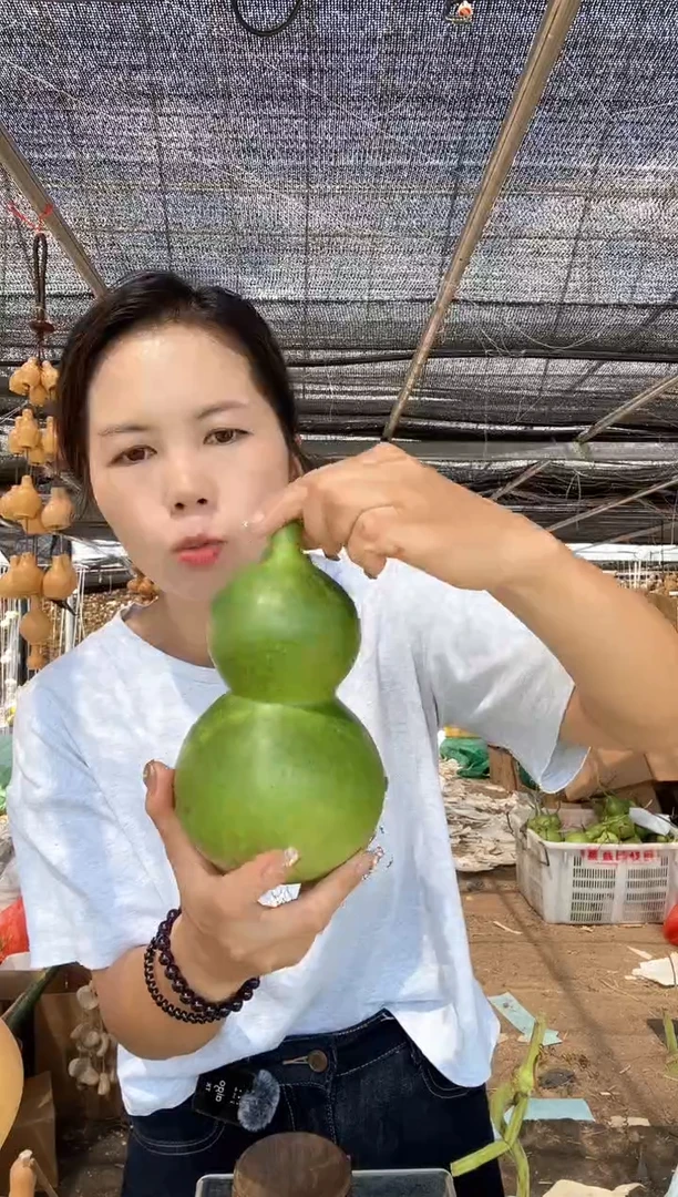 718天然葫芦摆件 一物一拍龙头不保售后