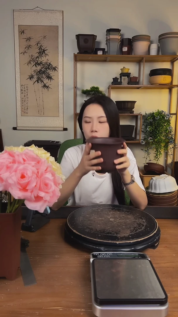 10只15口径金钟紫檀色