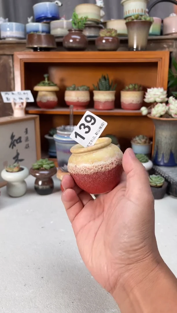 瓷片139小芳直播编号