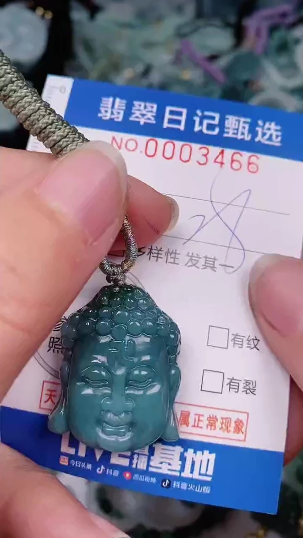 【闪购商品】翡翠颈饰未镶嵌00003466