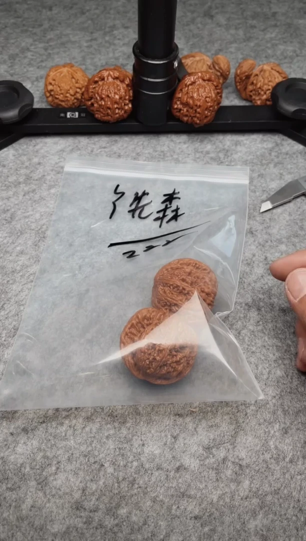 文玩核桃把件0606-小当家-Y先森