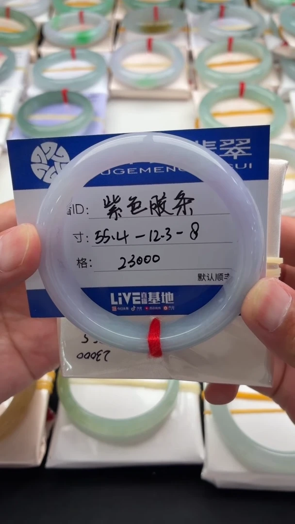 未镶嵌手镯翡翠紫色胶条