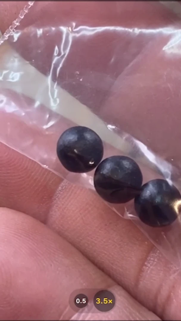 【闪购商品】吊坠黑财-与实物略有差异介意者勿拍