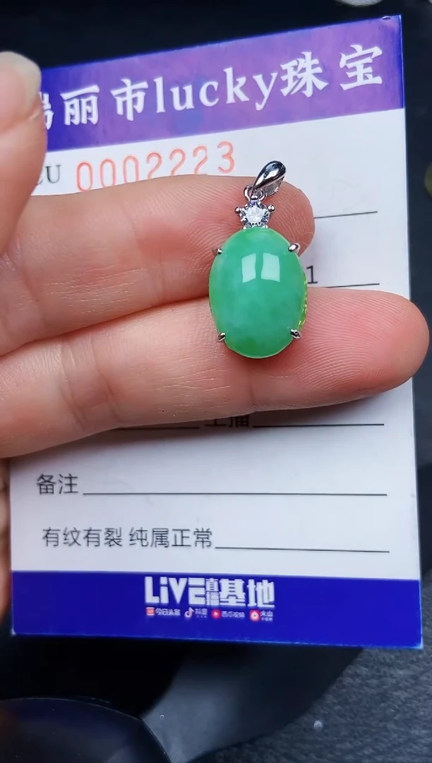 翡翠银S925镶嵌颈饰2223