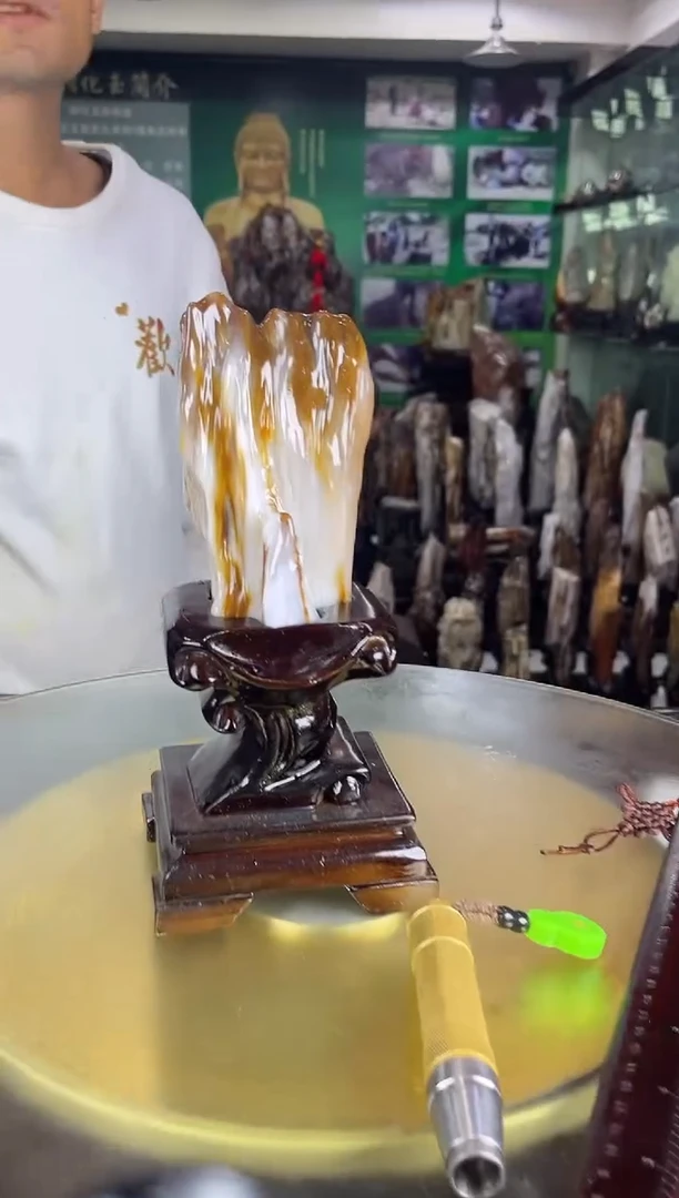 缅甸天然树化玉精品摆件