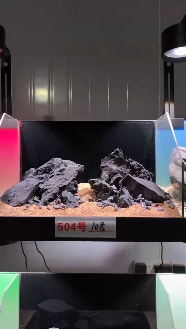 504号鱼缸造景（不含底砂）