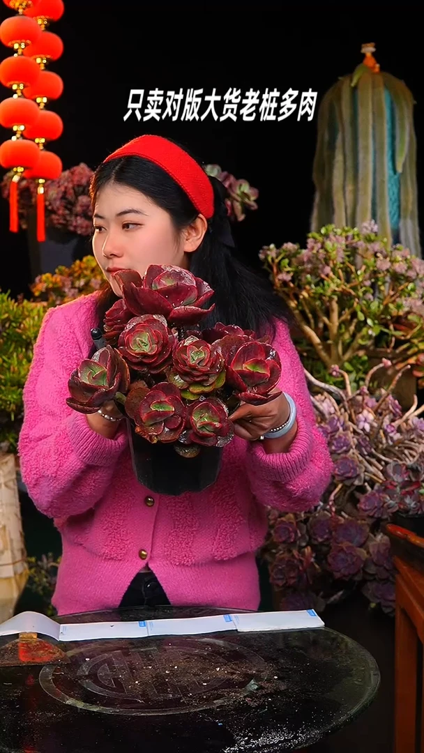 【闪购商品】秀妍25号