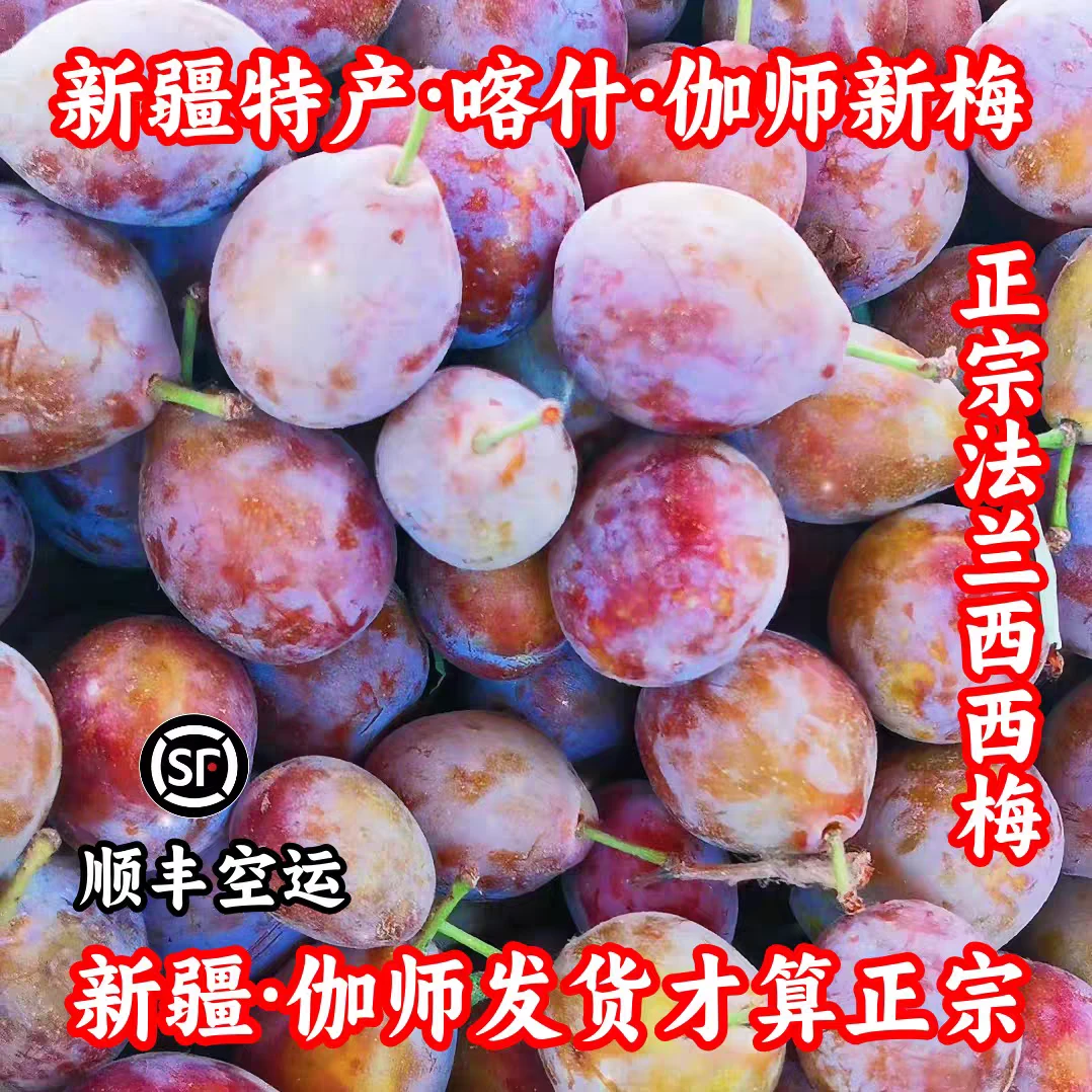 正宗新疆伽师新梅新鲜应季水果脆甜多汁孕妇水果西梅全国顺丰包邮