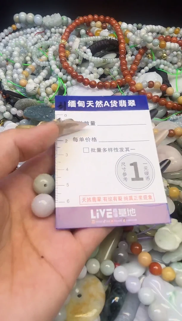 颈饰未镶嵌翡翠颈饰 未镶嵌 翡翠017