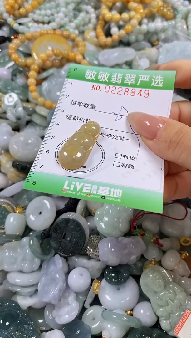 翡翠未镶嵌颈饰闪购0228849