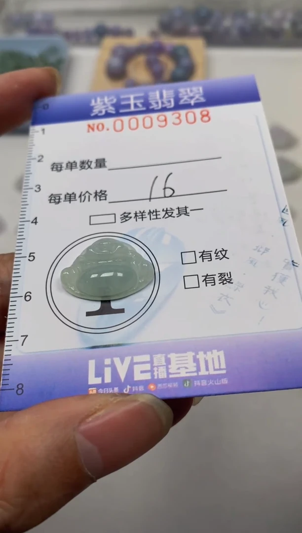 【闪购商品】翡翠颈饰未镶嵌挂件