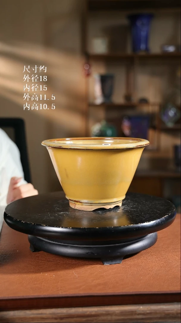 【限时买三免一活动】7.5寸高身斗笠盆   随机发货