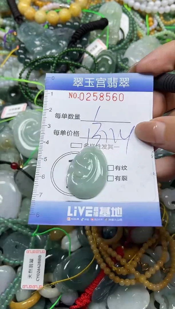 颈饰未镶嵌翡翠闪购C0258560