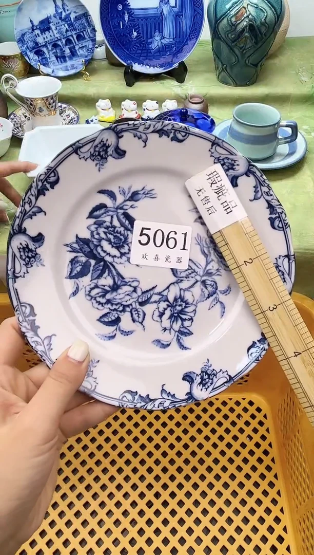 瓷片凝           5061