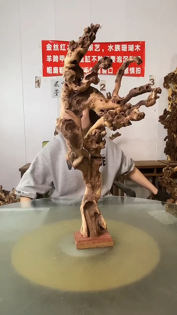 香榧木颜****号金丝红木 羊蹄甲