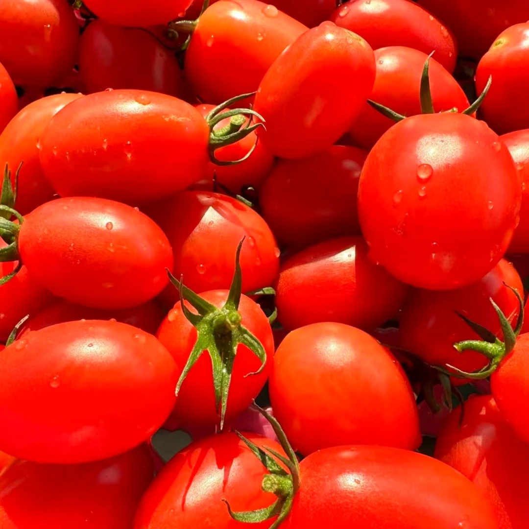 【阖家团圆千禧果】整箱3斤（净果2.5斤左右）广东电白纯甜无酸  儿童孕妈可吃