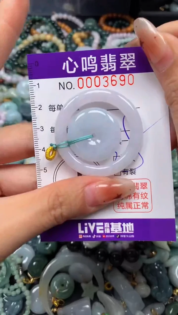 翡翠未镶嵌颈饰闪购003690