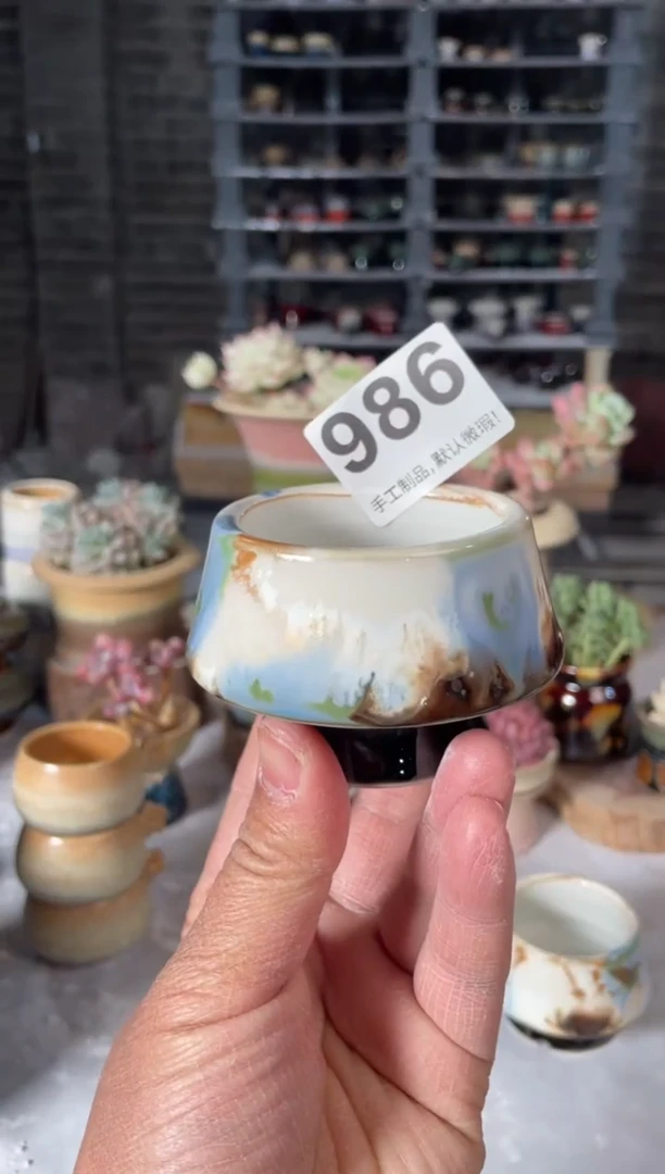 瓷片986小芳直播编号