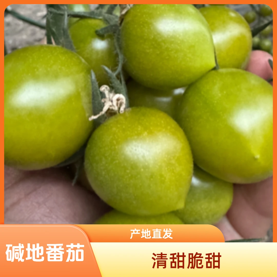大同碱地小番茄3斤【清甜1号纯甜味】京东快递新鲜番茄同城配山西省