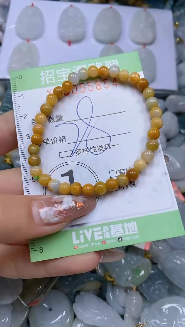 【闪购商品】翡翠颈饰未镶嵌闪购商品0055854