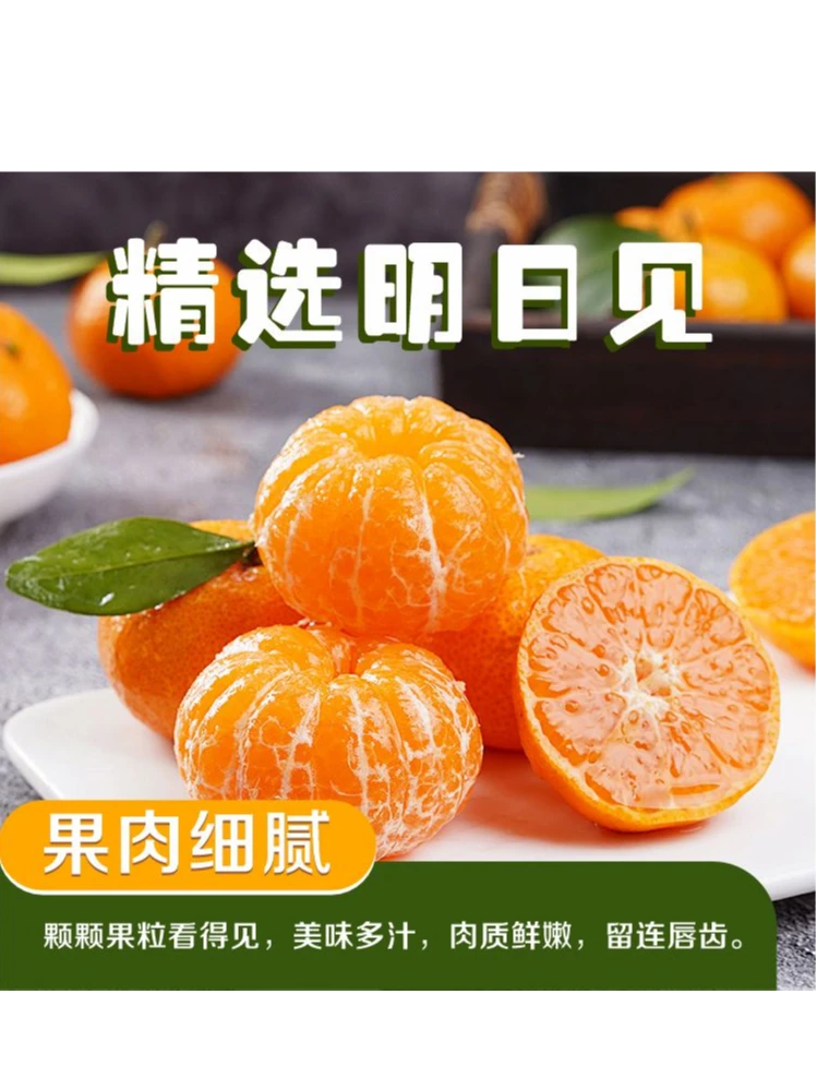 四川罗江晚熟柑橘明日见(阿斯密)香甜爆汁水果10斤四川春见耙耙柑