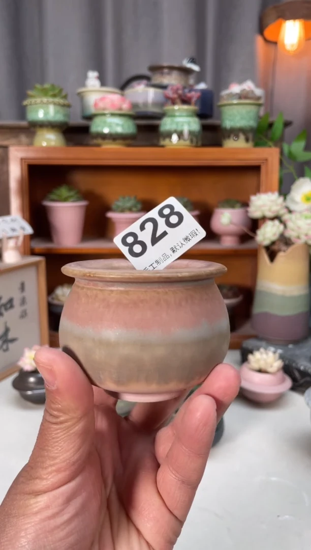 瓷片(****乐828小芳直播编号