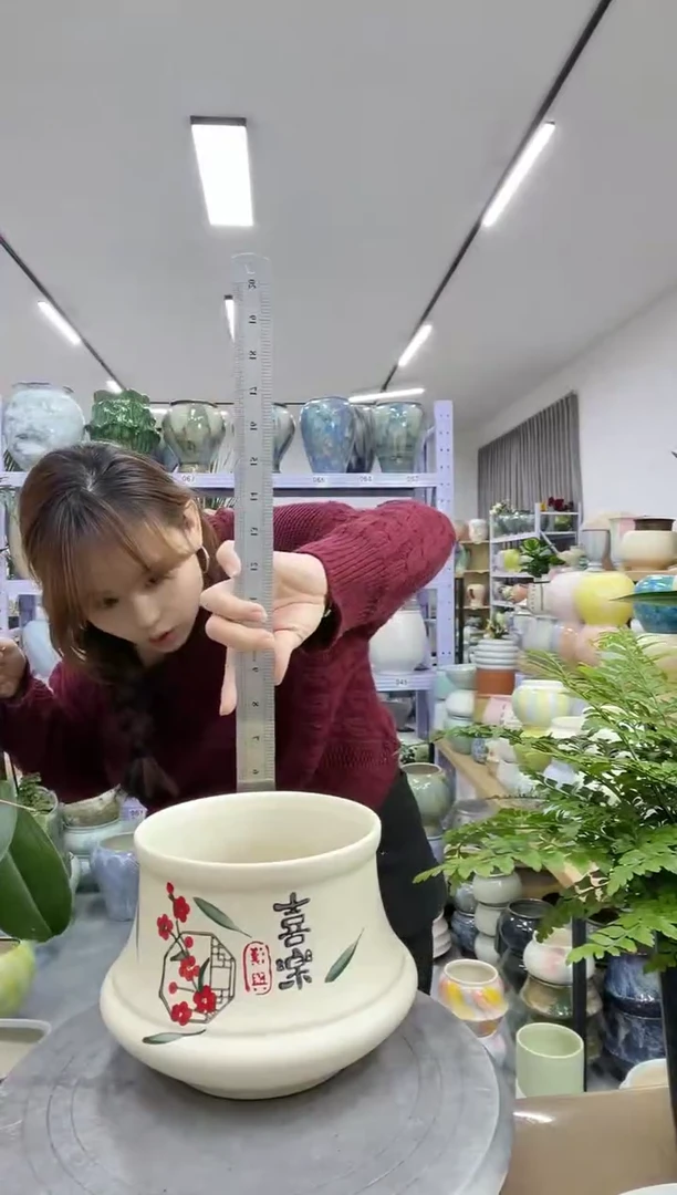 11.20陶瓷花盆直播链接高.      口