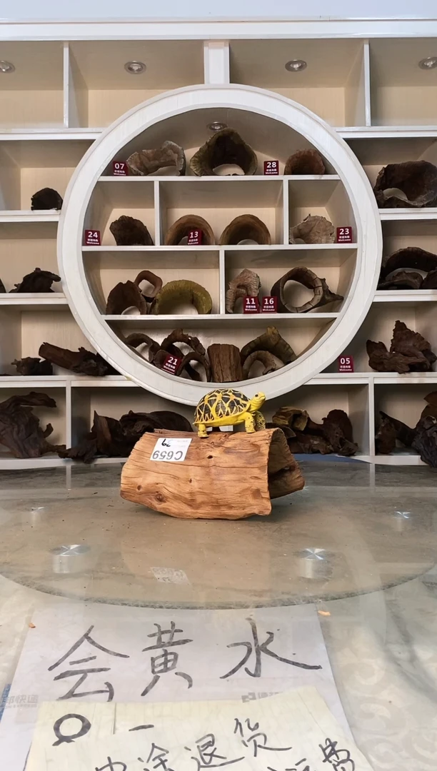 老*树鱼缸爬宠造景素材660