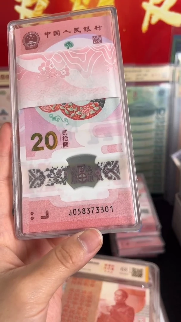 塑料2025年蛇年纪念钞全新百连含狮子号3333