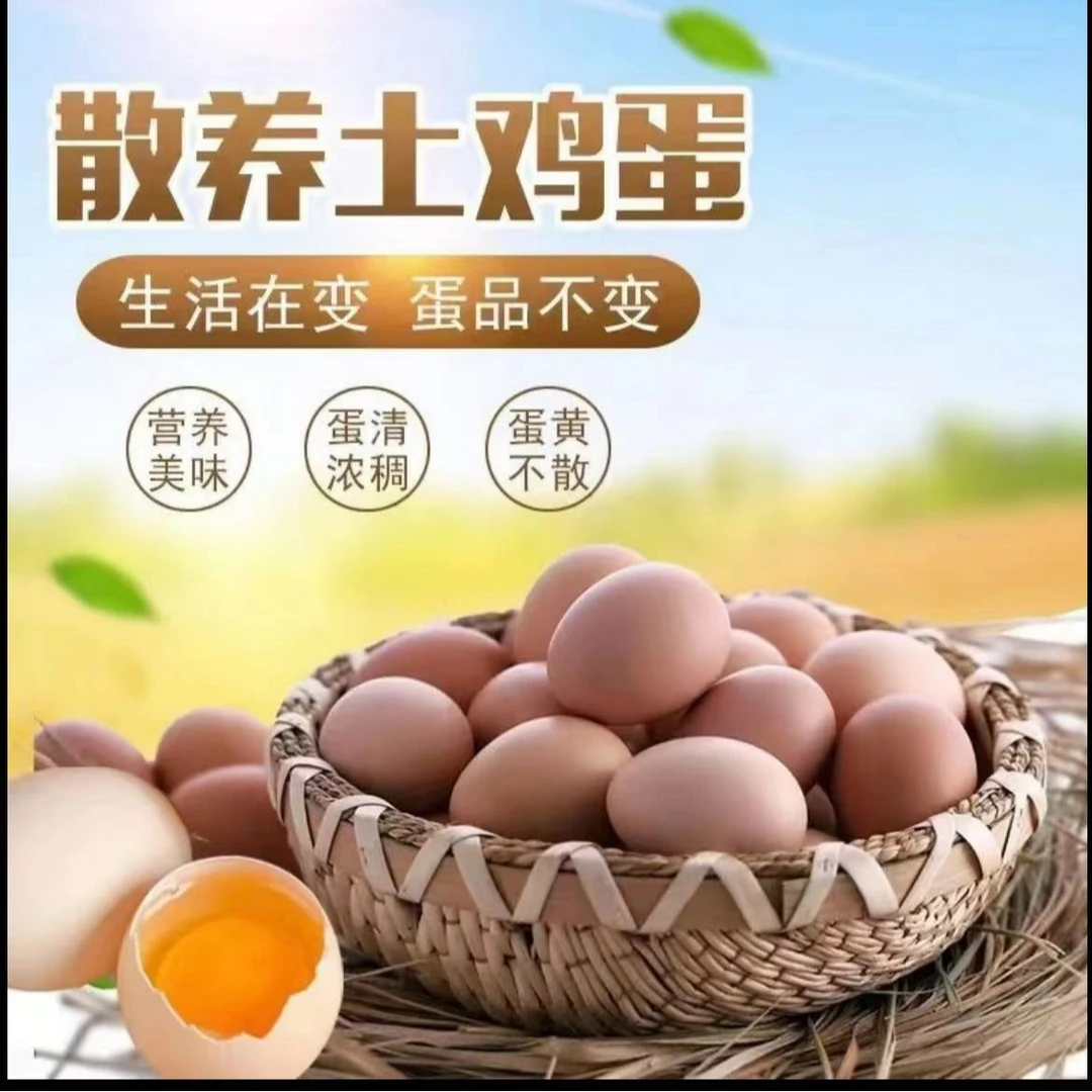 皖南九华山竹林农家新鲜散养土鸡蛋谷物蛋健康辅食60枚装