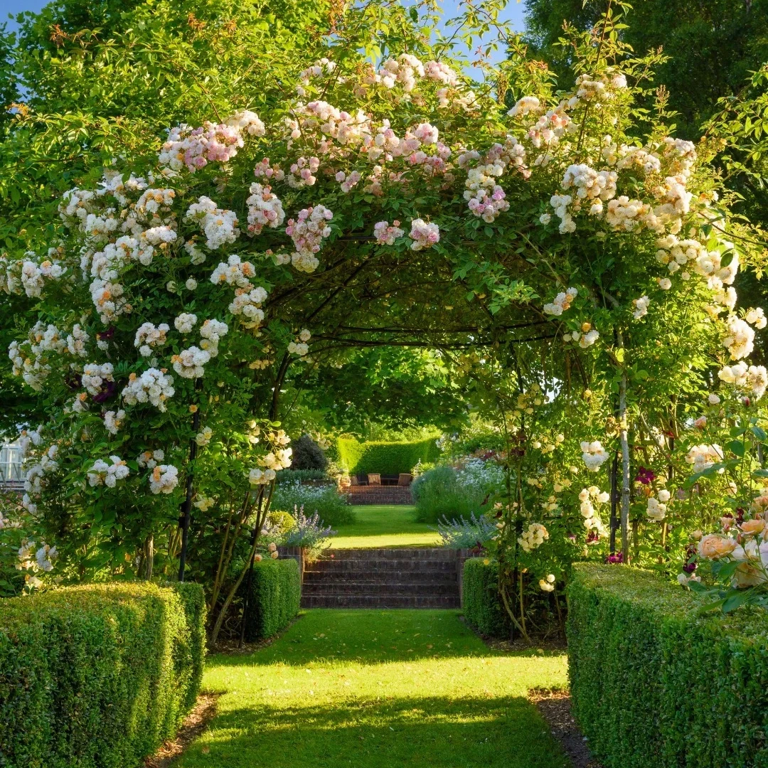 藤本拱门造型一物一拍专属链接