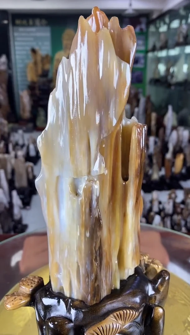 未镶嵌珠宝奇石硅化玉缅甸天然树化玉摆件