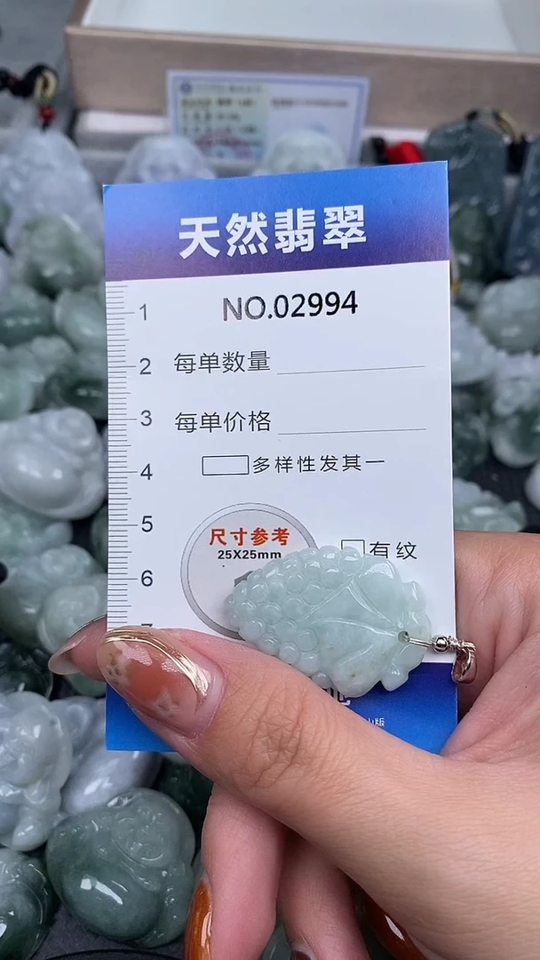 颈饰未镶嵌翡翠纯天然A货翡翠2994