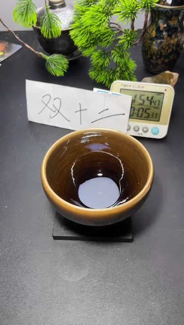 茶盏287 叶紫建盏