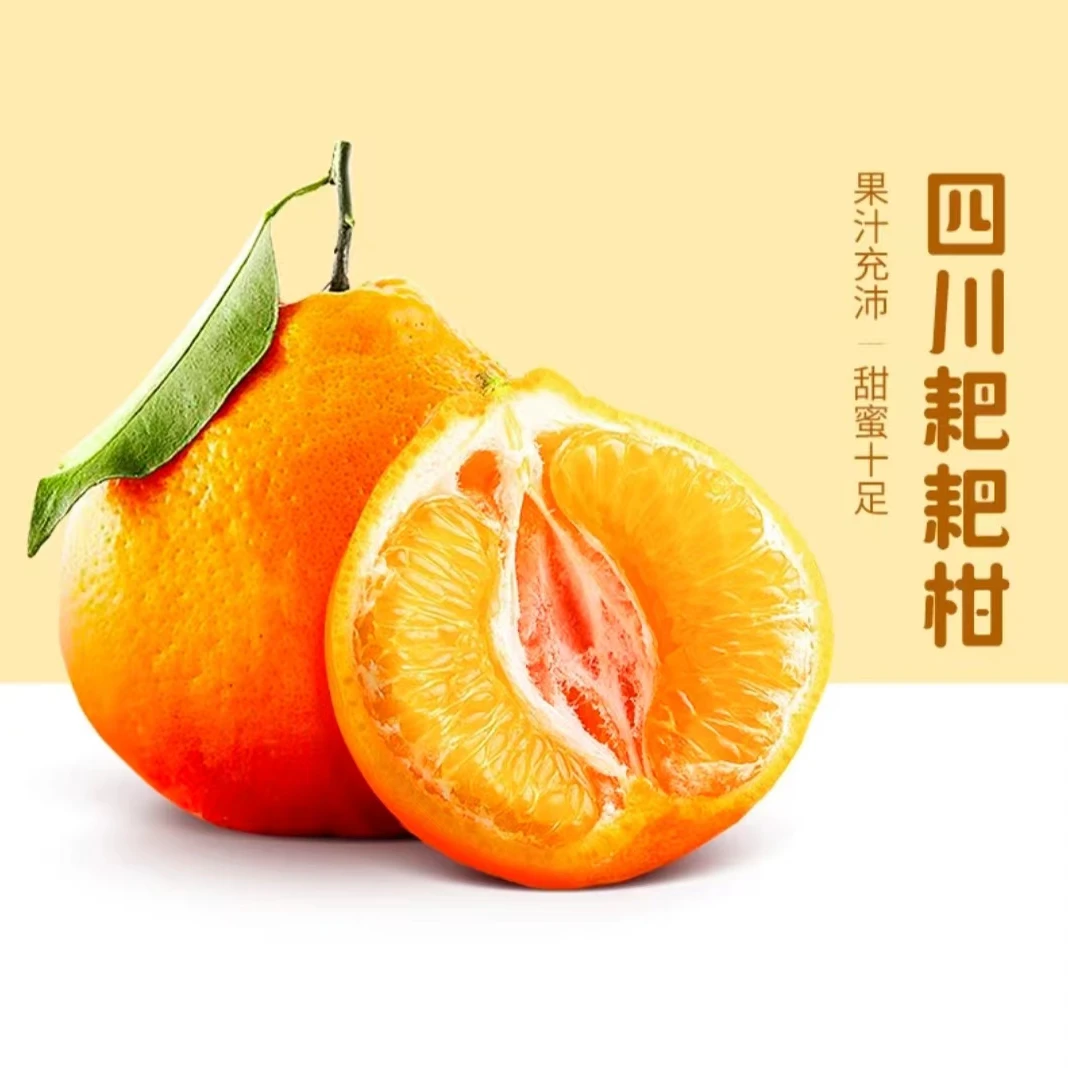 【江总专属】春见耙耙柑新鲜应季柑橘水果四川眉山丹棱果园现摘现发