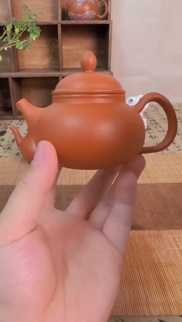 【闪购商品】紫砂茶壶111111111111111