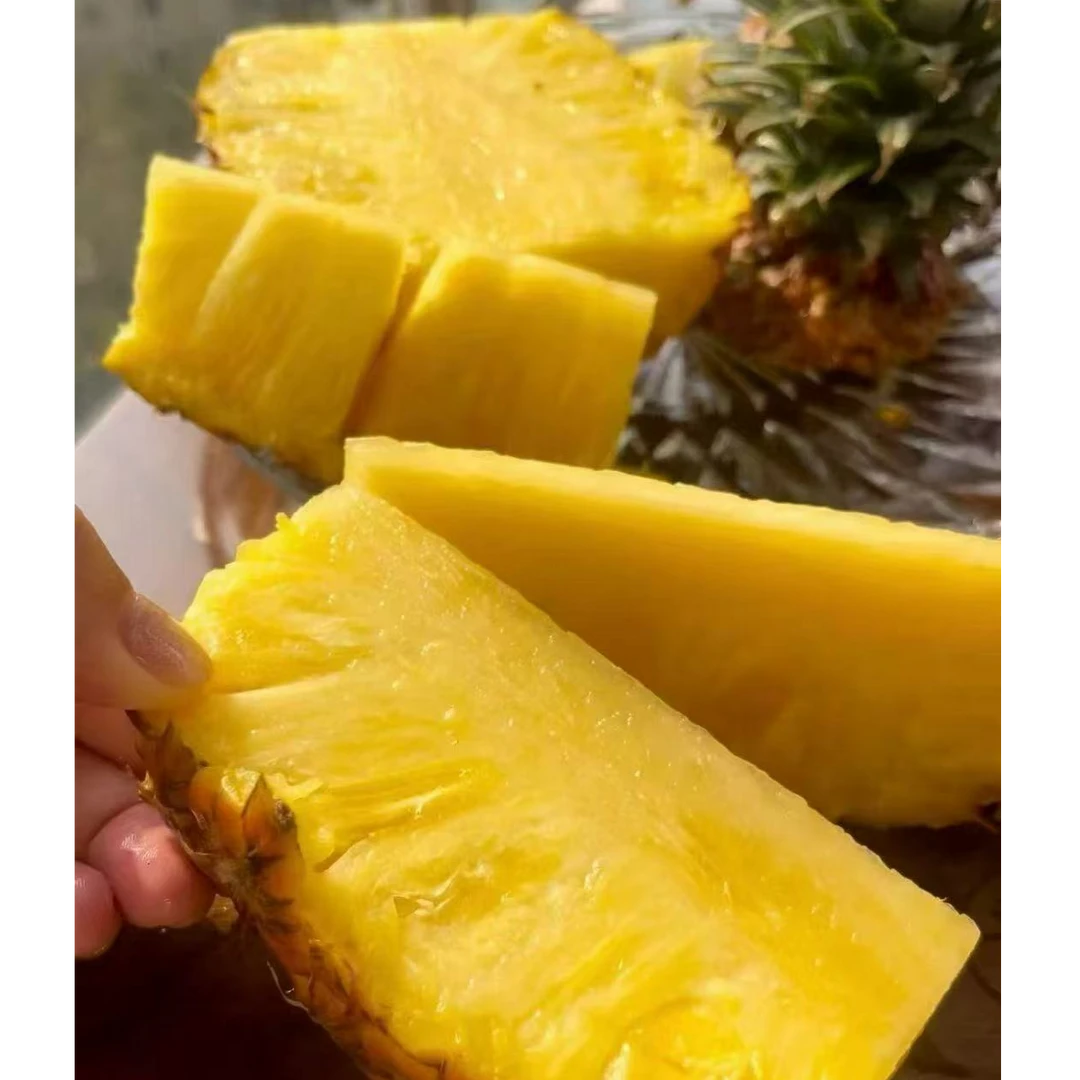 海南树熟金钻凤梨 1.2kg/2个
