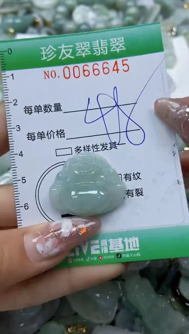 【闪购商品】翡翠颈饰未镶嵌闪购0066645